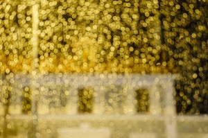 Dimensions Robin Morlock