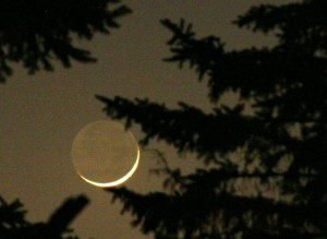 New Moon peeking through trees; image from Bing