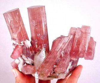 Pink Tourmaline